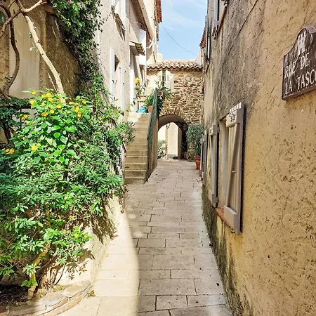 Parc Oasis By Interhome Gassin